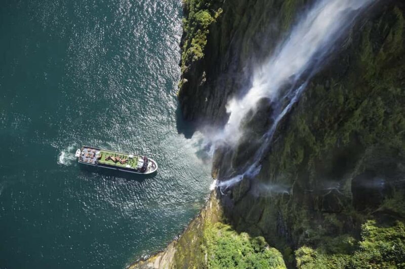 Milford Sound: Wildlife & Nature Cruises - Food and Beverage Options