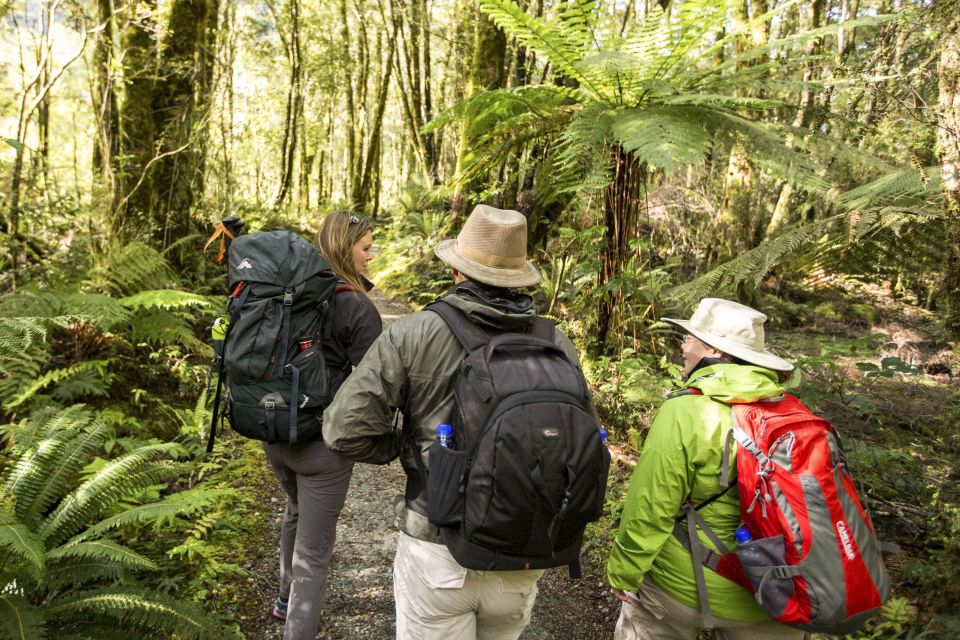 Milford Track: Full Day Guided Hike and Nature Cruise - Booking Information