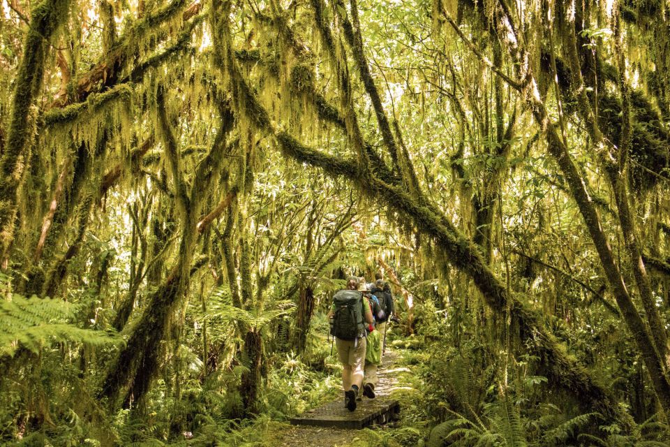 Milford Track: Full Day Guided Hike and Nature Cruise - Activity Duration
