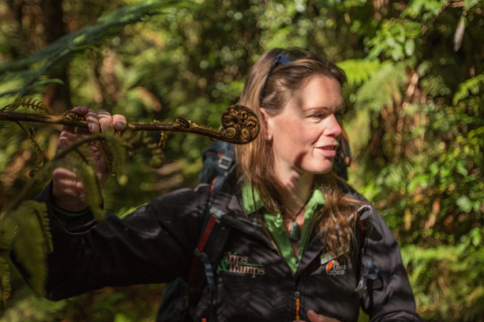 Milford Track: Full Day Guided Hike and Nature Cruise - Frequently Asked Questions