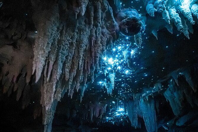 Milky Way Glowworm Cave Tour - Introduction