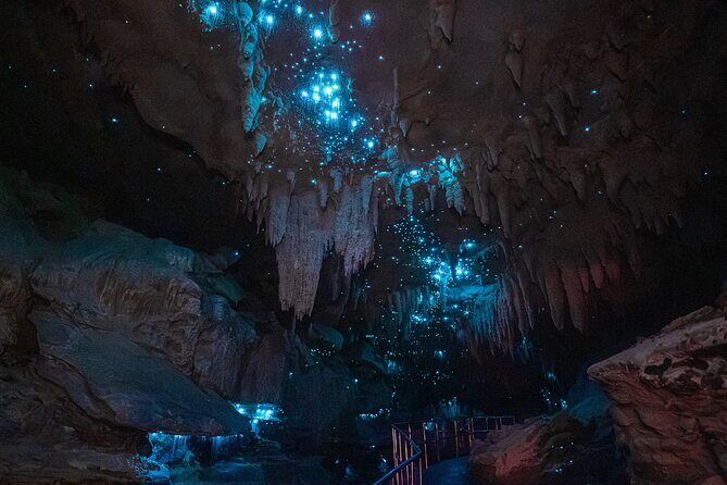 Milky Way Glowworm Cave Tour - Key Points