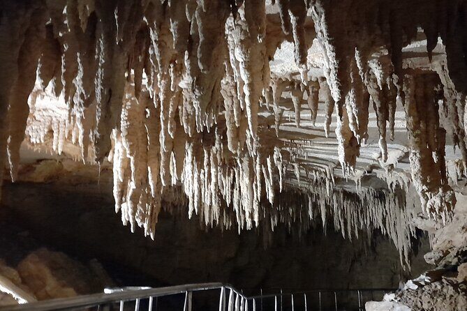 Milky Way Glowworm Cave Tour - What Makes This Tour Stand Out?  
