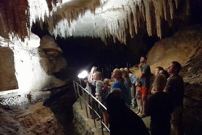 Milky Way Glowworm Cave Tour - Practical Considerations and Value