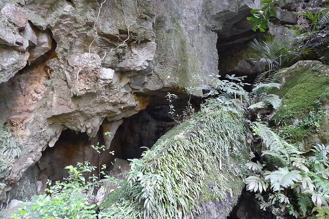 Milky Way Glowworm Cave Tour - Summary: Who Is This Tour Best For?