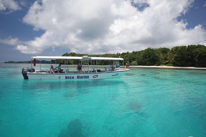 Milky Way, Shark City Island, Beach and Rock Island Tour - Starting Point: Neco Marine and Convenient Pickup