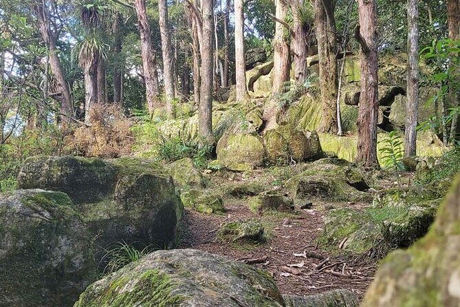 Milkyway Glowworm Cave Tour from Auckland Port - Final Thoughts