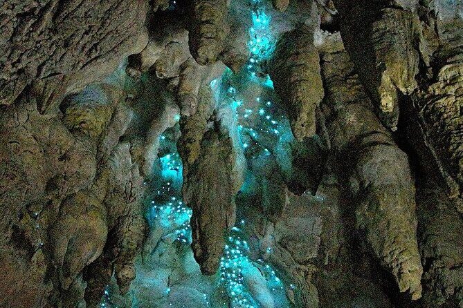 Milkyway Glowworm Cave Tour from Auckland Port - FAQs