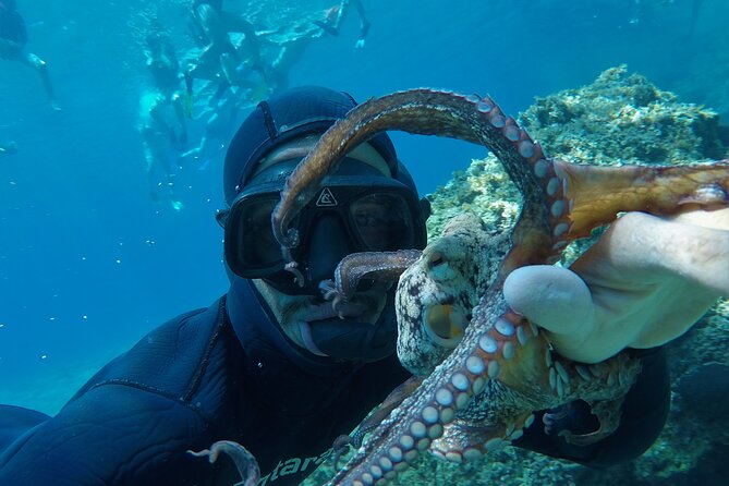 Milos: Half-Day Speedboat Cruise to Kleftiko With Snorkeling Tour - Cancellation and Refund Policy