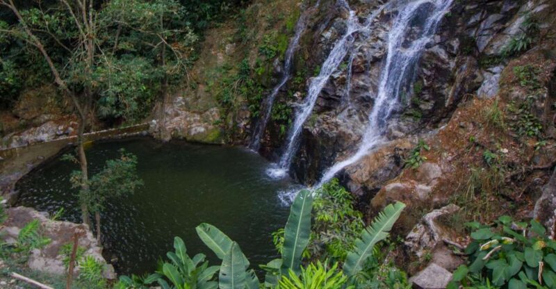 Minca: Day-Trip With Coffee Farm - La Victoria Coffee Farm Tour