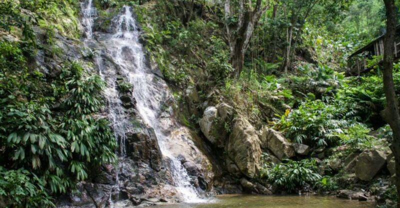 Minca, Waterfalls & Coffee Farm Tour - Key Attractions