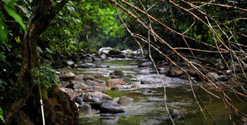 Minca, Waterfalls & Coffee Farm Tour - Additional Experiences