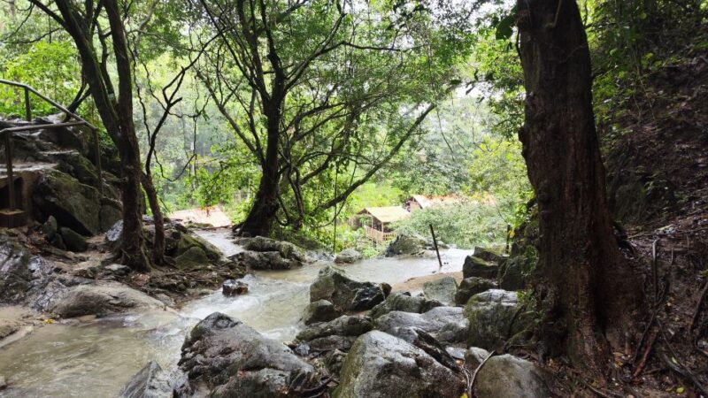 Minca, Waterfalls & Coffee Farm Tour - Pricing Information