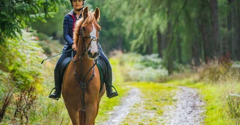 Mindful Horseback Escape  Kissamos - Key Points
