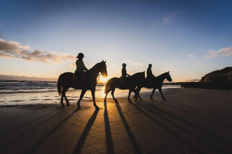 Mindful Horseback Escape  Kissamos - An In-Depth Look at the Experience