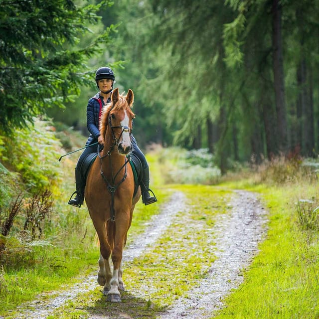 Mindful Horseback Escape  Kissamos - Frequently Asked Questions