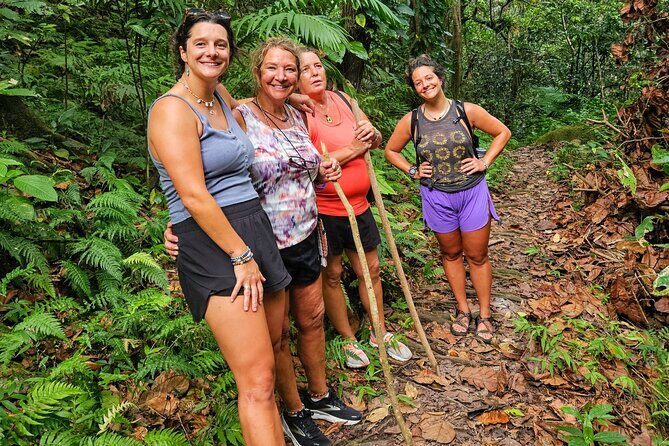 Mindfulness Rainforest Hike, Forest Bathing, Volcanic Hot Springs - A Deep Dive into the Experience