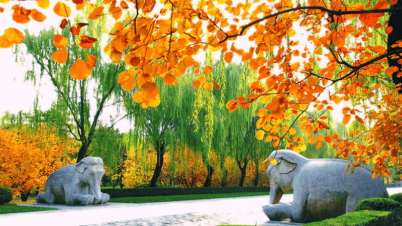 Ming Tombs Admission Ticket - Accessibility and Practical Considerations