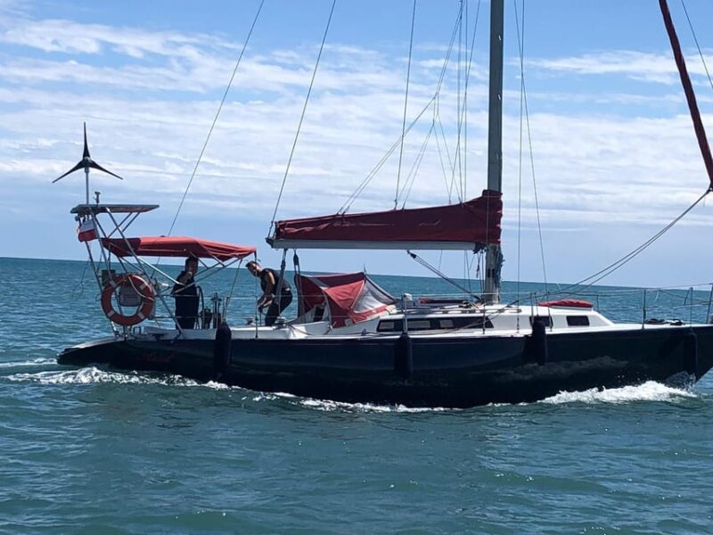 Mini Cruise-Ship to Puerto De La Duquesa From Sotogrande - Choosing the Perfect Date
