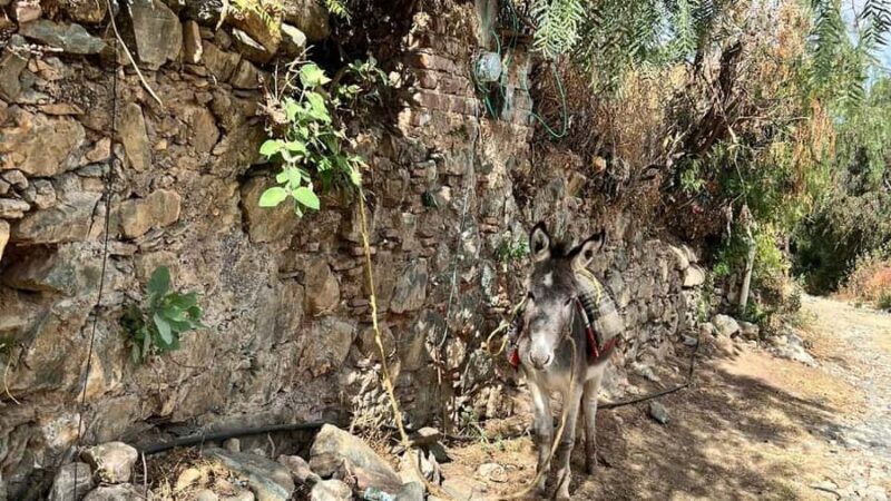 Mining Hike in Guanajuato: Mineral de la Luz and its Veins - An In-Depth Look at the Guanajuato Mining Hike