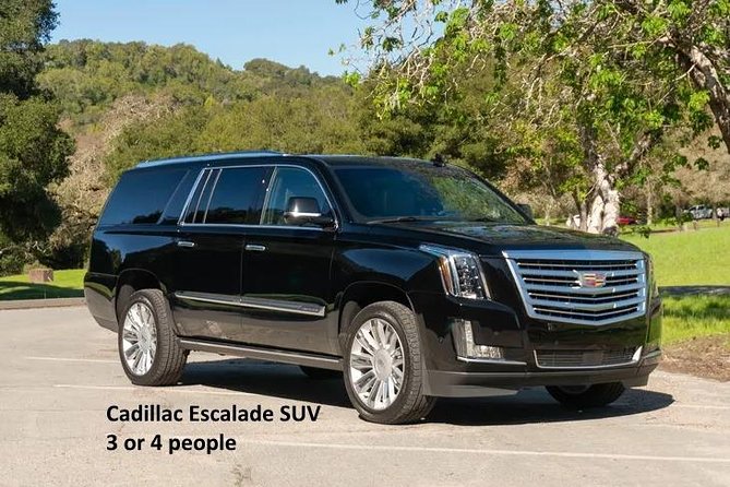 Minneapolis & St. Paul Highlights Private Riding & Walking Tour (3 Hrs) - Transportation and Accessibility