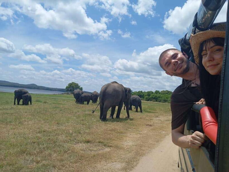 Minneriya: Half-Day Morning or Evening Jeep Safari - What Makes This Safari Stand Out