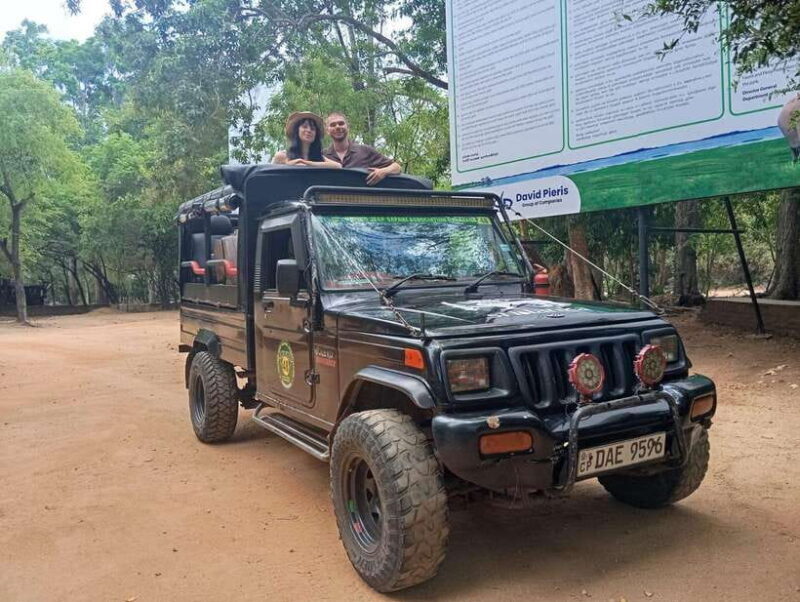 Minneriya: Half-Day Morning or Evening Jeep Safari - The Practicalities: Price, Duration, and Comfort