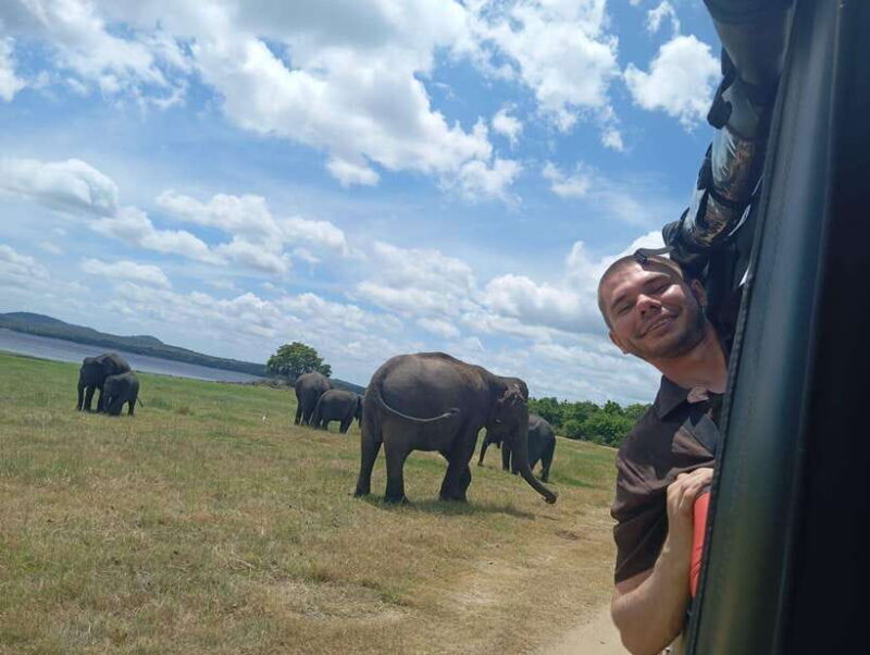 Minneriya: Half-Day Morning or Evening Jeep Safari - Who Will Love This Tour?
