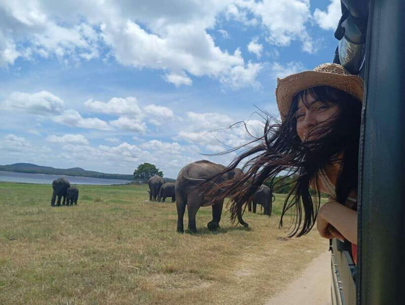 Minneriya: Half-Day Morning or Evening Jeep Safari - FAQ