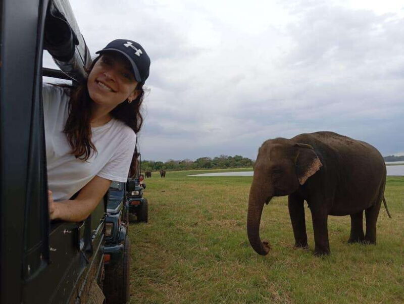 Minneriya: Minneriya National Park Jeep Safari with Pickup - An Introduction to the Minneriya Safari