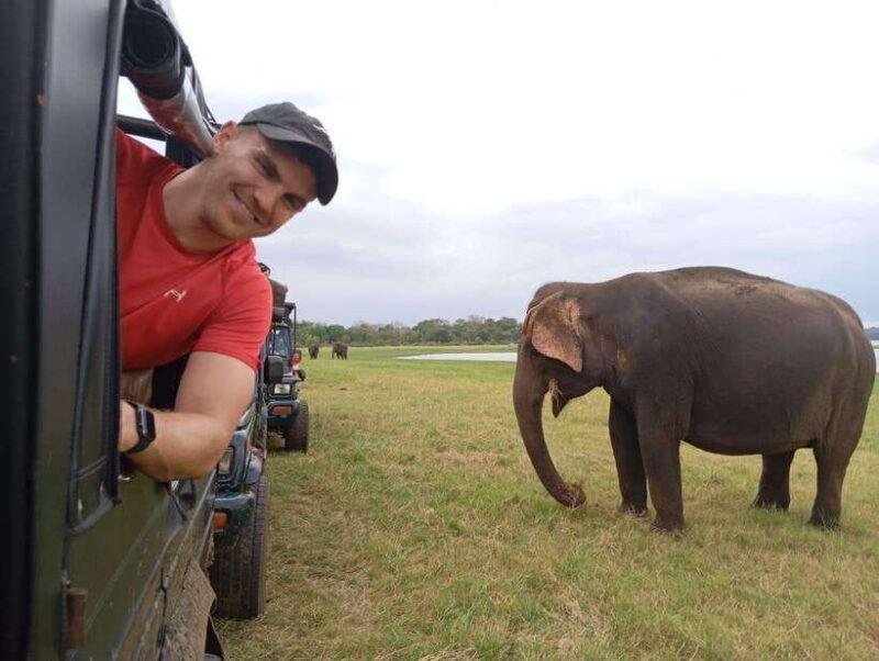 Minneriya: Minneriya National Park Jeep Safari with Pickup - In-Depth Review of the Experience