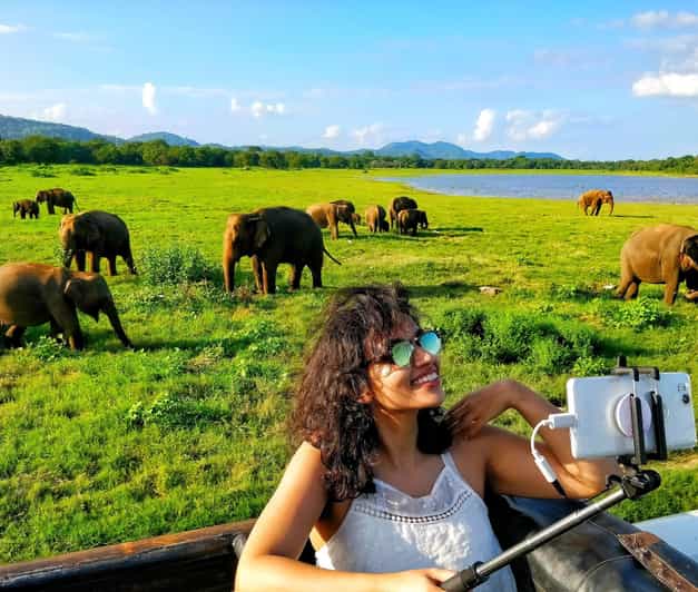 Minneriya National Park Day Safari From Minneriya - Transportation and Pickup Details