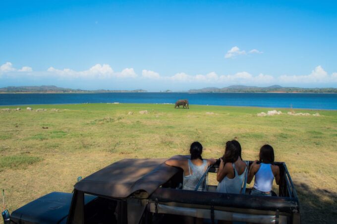Minneriya National Park Day Safari From Minneriya - Payment Options