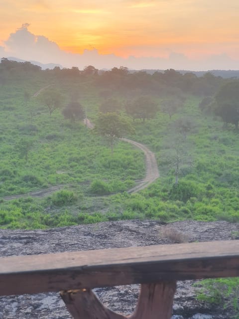 Minneriya National Park Elephant Safari by 4×4 Jeep - Frequently Asked Questions