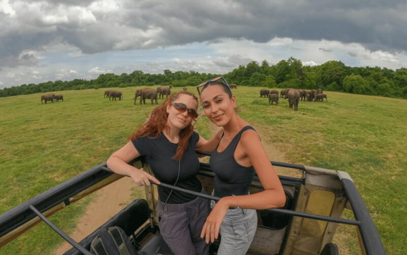 Minneriya: National Park Elephant Safari with Hotel Pickup - An In-Depth Look at the Minneriya Elephant Safari Experience