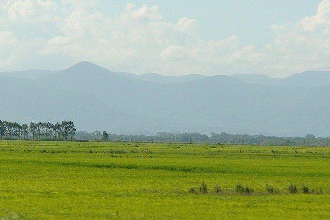 Minneriya National Park | Private Safari - Inclusions of the Private Safari