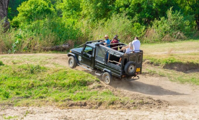 Minneriya National Park Private Safari From Dambulla - Trackers Availability
