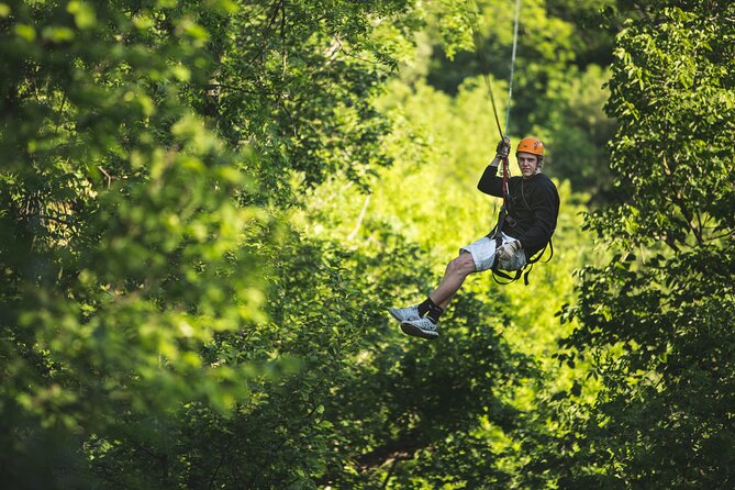 Minnesota River Valley 14-Line Thrilling Zipline Canopy Tour - Tour Highlights