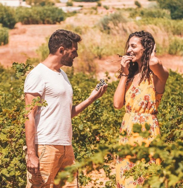 Minoan Crete: Knossos Palace & Heraklion Museum With Winery - Itinerary Highlights