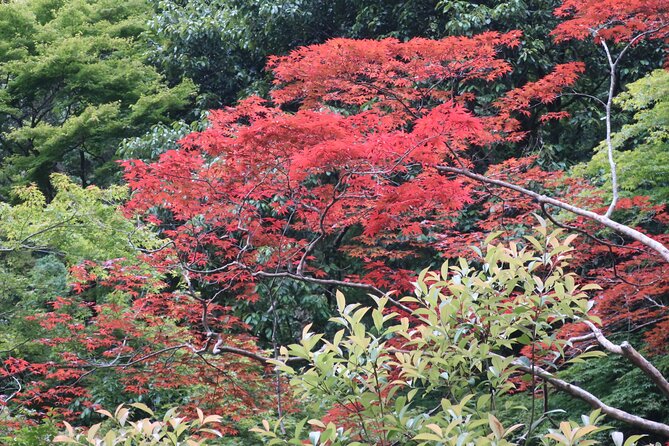 Minoh Waterfall and Nature Walk Through the Minoh Park - Listening to the Minoh Waterfall