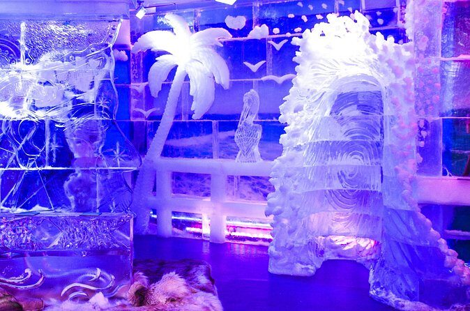 Minus5 Ice Bar Admission Ticket at The LINQ Las Vegas - Who Should Consider Visiting?