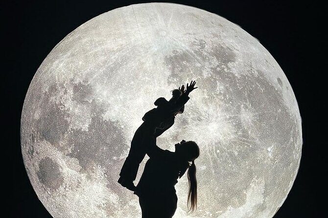 Miracle at Big Rock Christmas Experience Walk Through Ticket - Key Points