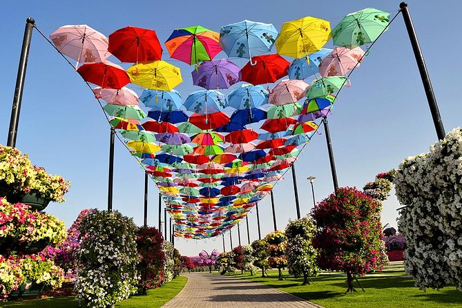 Miracle Garden: Dubai Flora and Fauna 4-Hour Tour - What to Expect