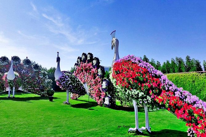 Miracle Garden: Dubai Flora and Fauna 4-Hour Tour - Tips for Visitors
