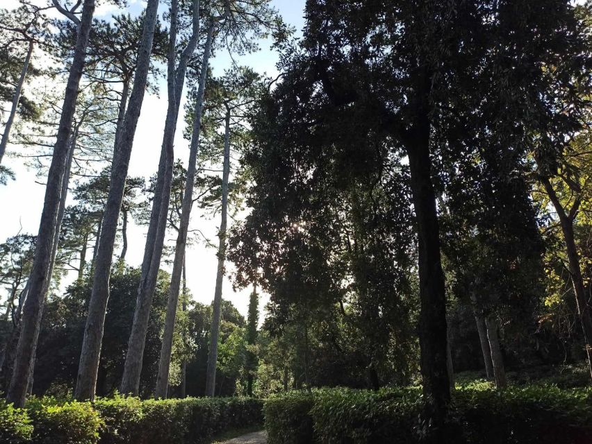 Miramare: the Most Romantic, Beautiful and Sad Castle. - Recap