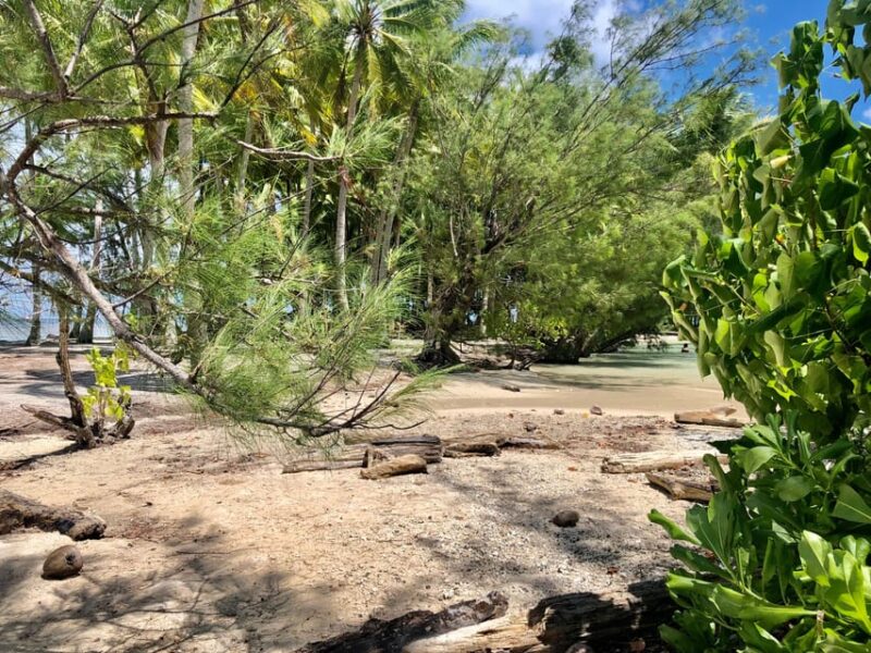 Mirimiri Tours: Visits, Surprises, Swimming and Sunset - Pricing and Reservation Details