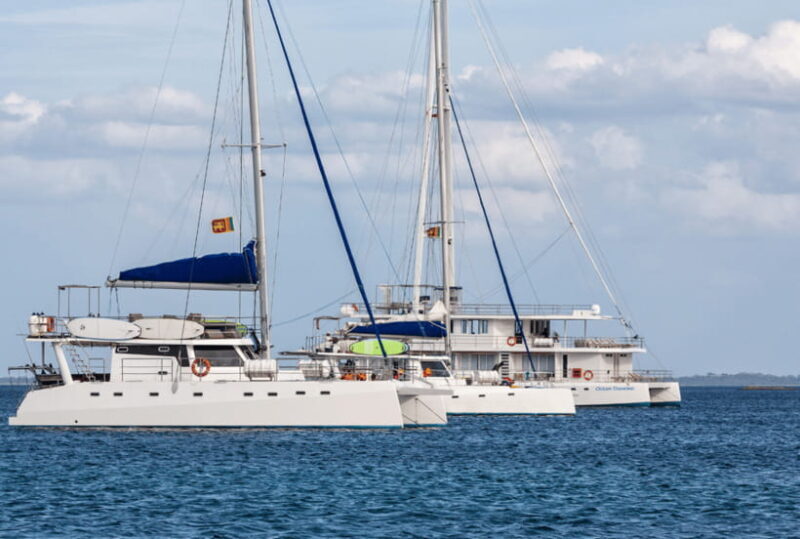 Mirissa: Luxury Sailing Boat Dolphin and Whale Watching - An In-Depth Review of the Luxury Sailing Experience in Mirissa