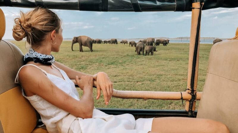 Mirissa/Weligma/Galle/Hikkduwa: Transfer to Ella & Yala Tour - Transportation Details