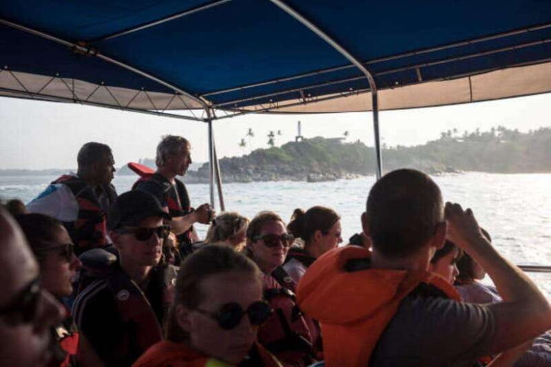 Mirissa: Whale Watching Cruise - The Value and Practicalities