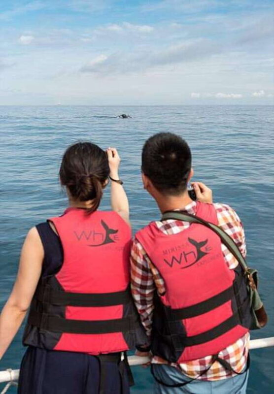 Mirissa: Whale Watching Cruise - Who Would Love This Tour?